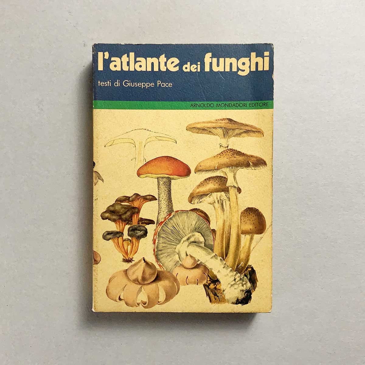libro-atlante-dei-funghi-giuseppe-pace-mondadori-copertina