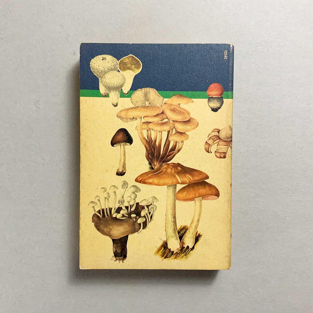 libro-atlante-dei-funghi-giuseppe-pace-mondadori-quarta-copertina