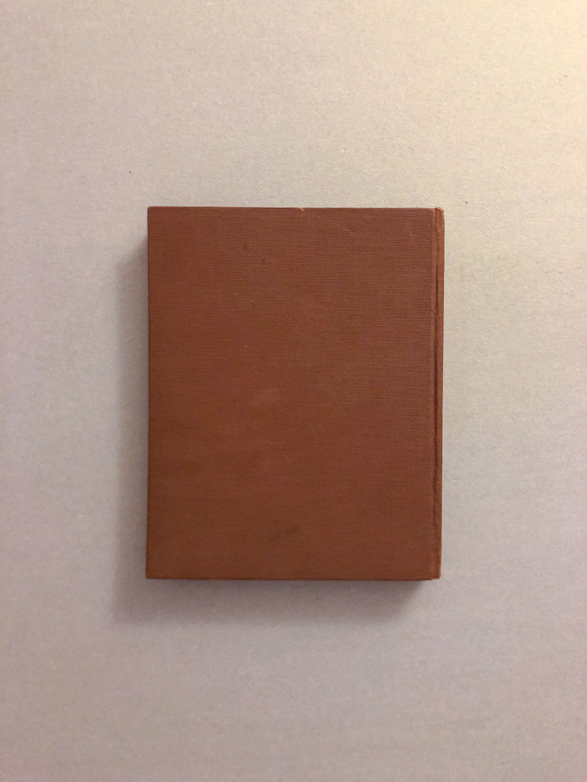 libro-elogio-della-stoltezza-erasmo-da-rotterdam-utet-copertina-retro