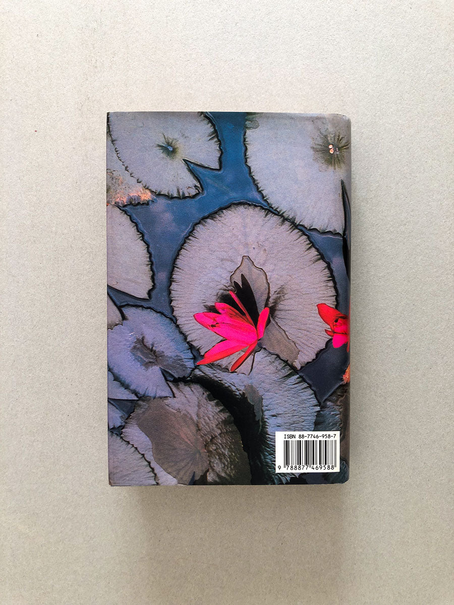 libro-il-dio-delle-piccole-cose-arundhati-roy-guanda-copertina-2