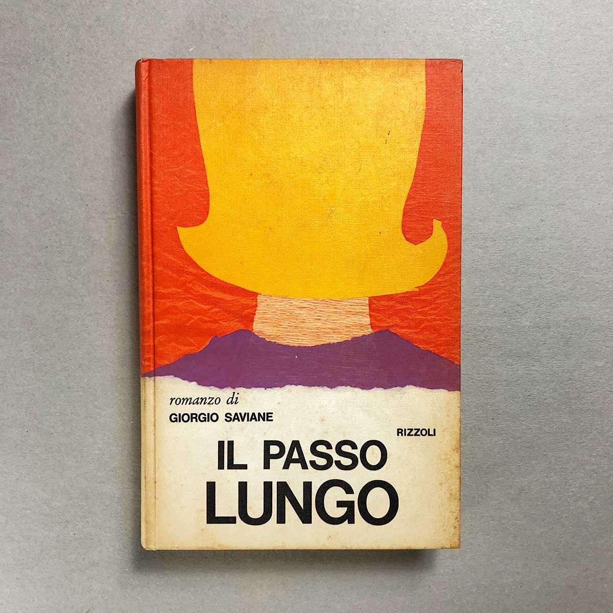 libro-il-passo-lungo-giorgio-saviane-rizzoli-copertina