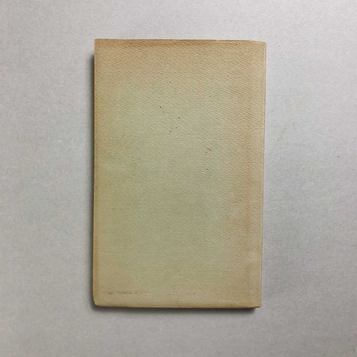 libro-la-sfida-tecnologica-2