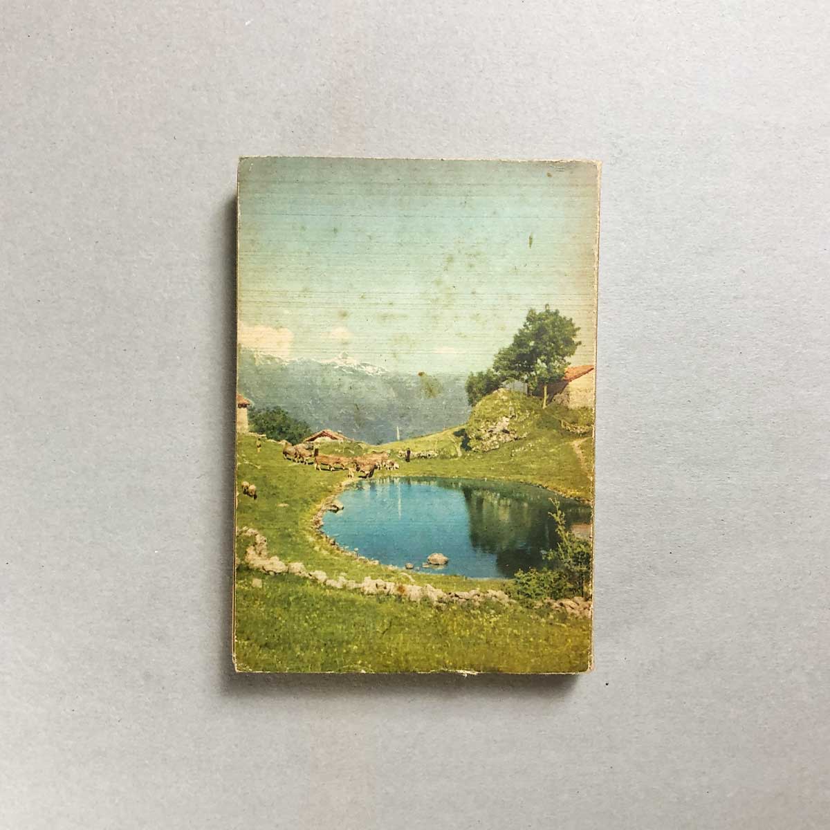 libro-usato-villeggiature-montane-touring-club-retro