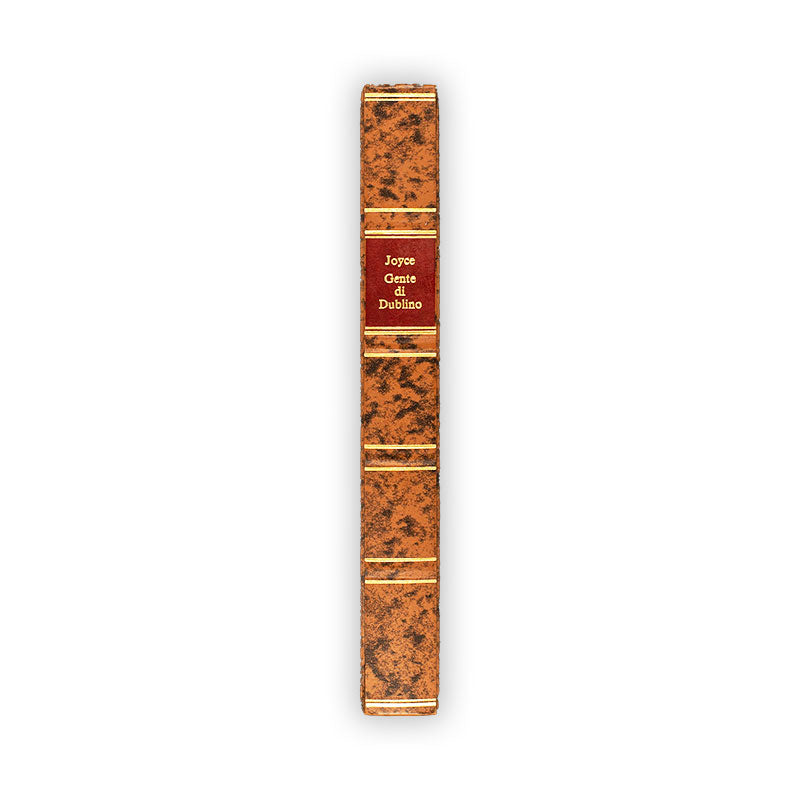 gente-di-dublino-james-joyce-rizzoli-1
