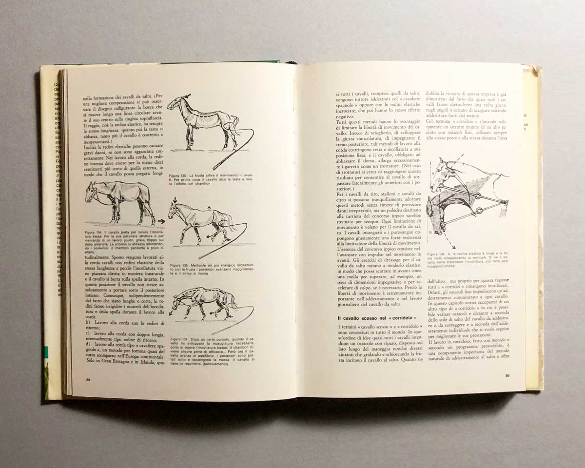 il-libro-della-equitazione-2