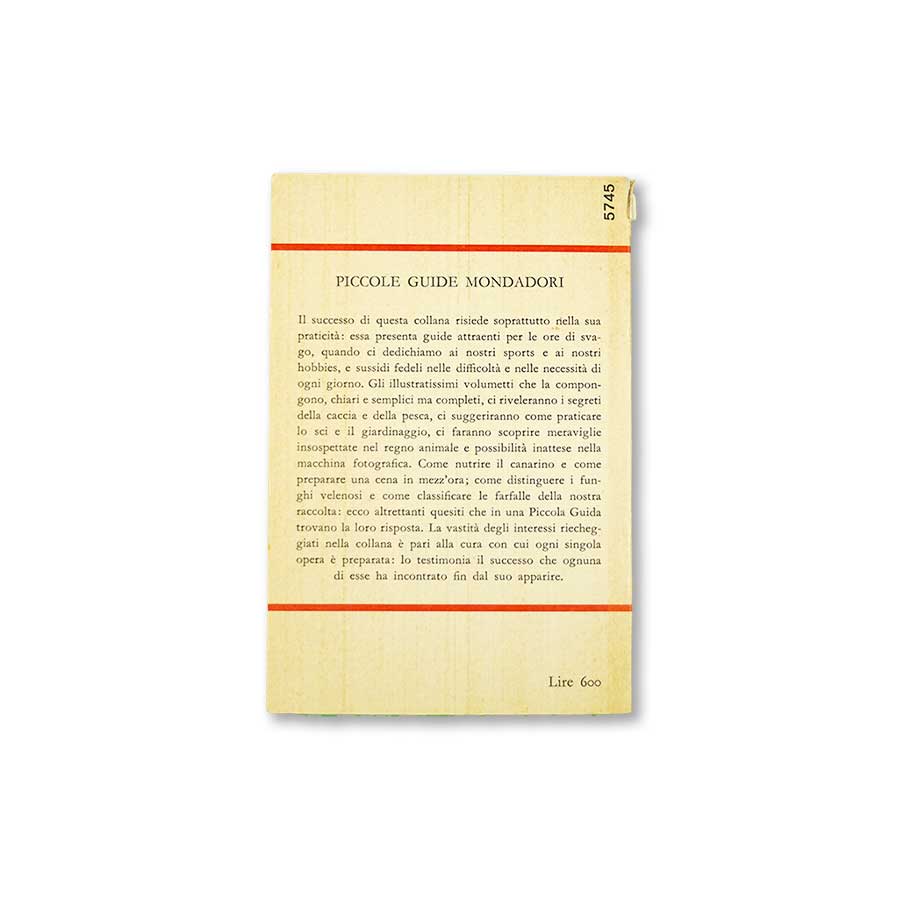 pesca-in-mare-mondadori-2