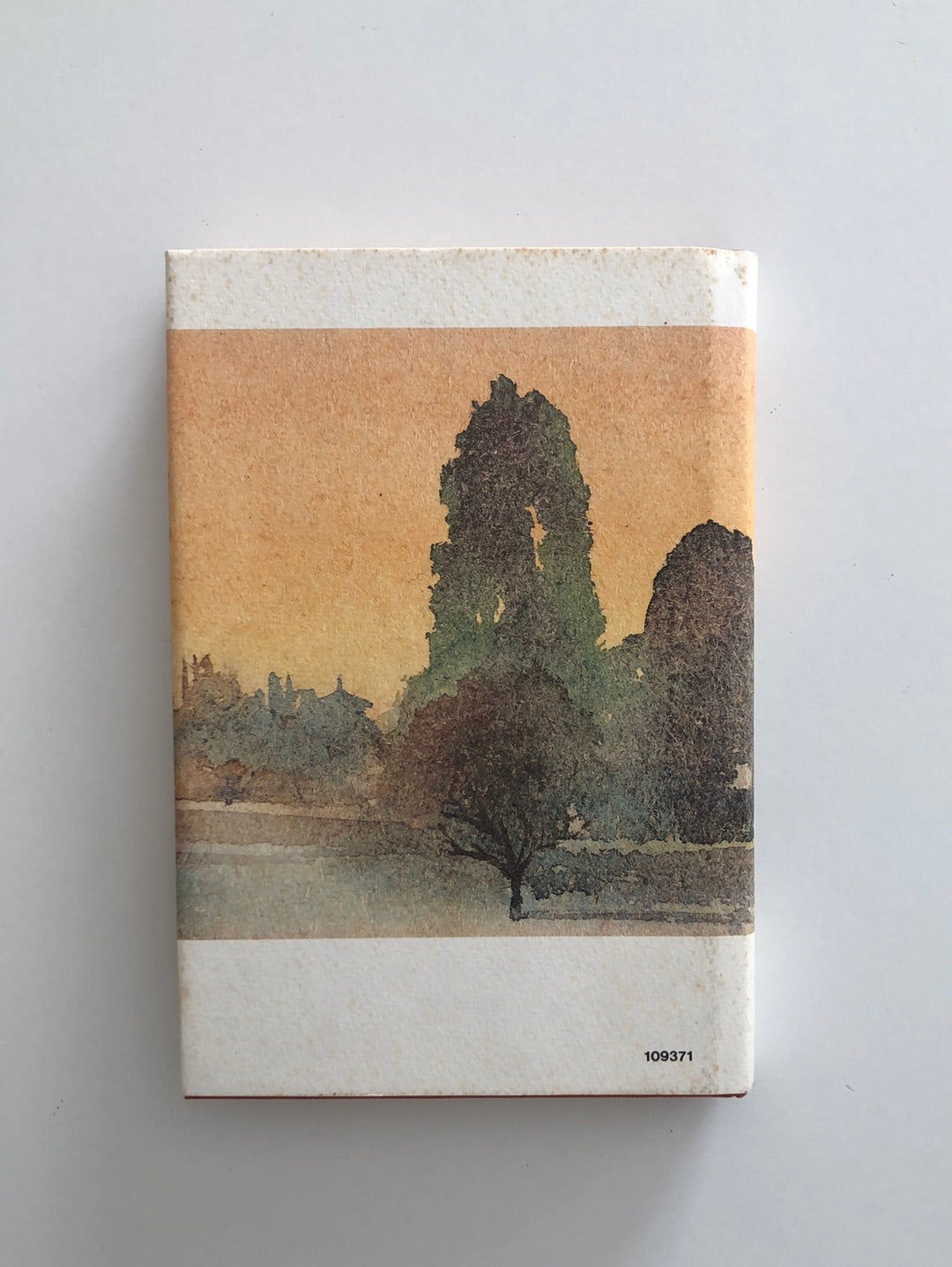 Pellegrina e straniera - Doparà