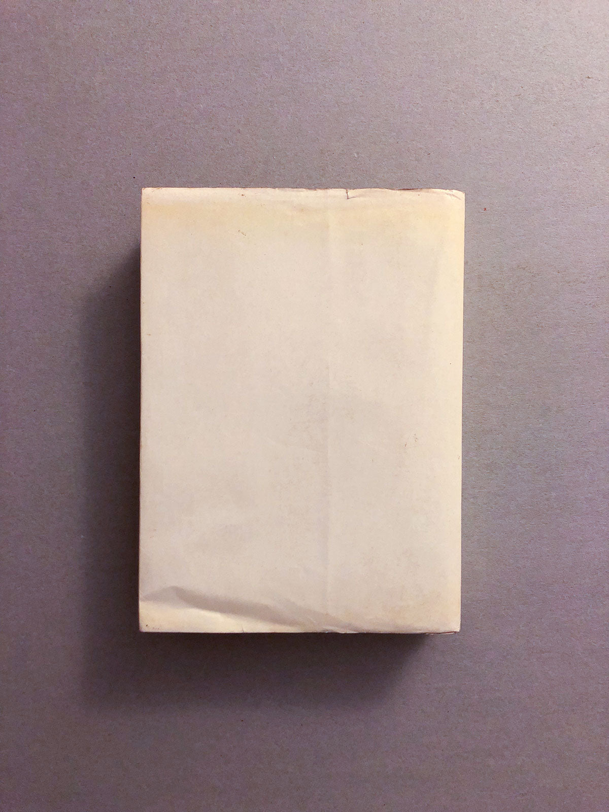libro-masaccio-gianfranco-corletto-neri-pozza-editore-copertina-retro