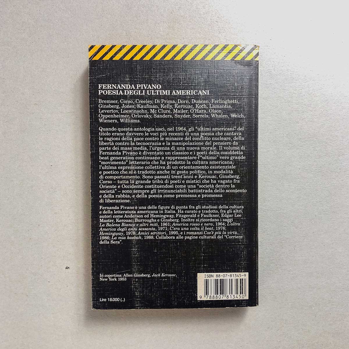 libro-poesia-degli-ultimi-americani-2