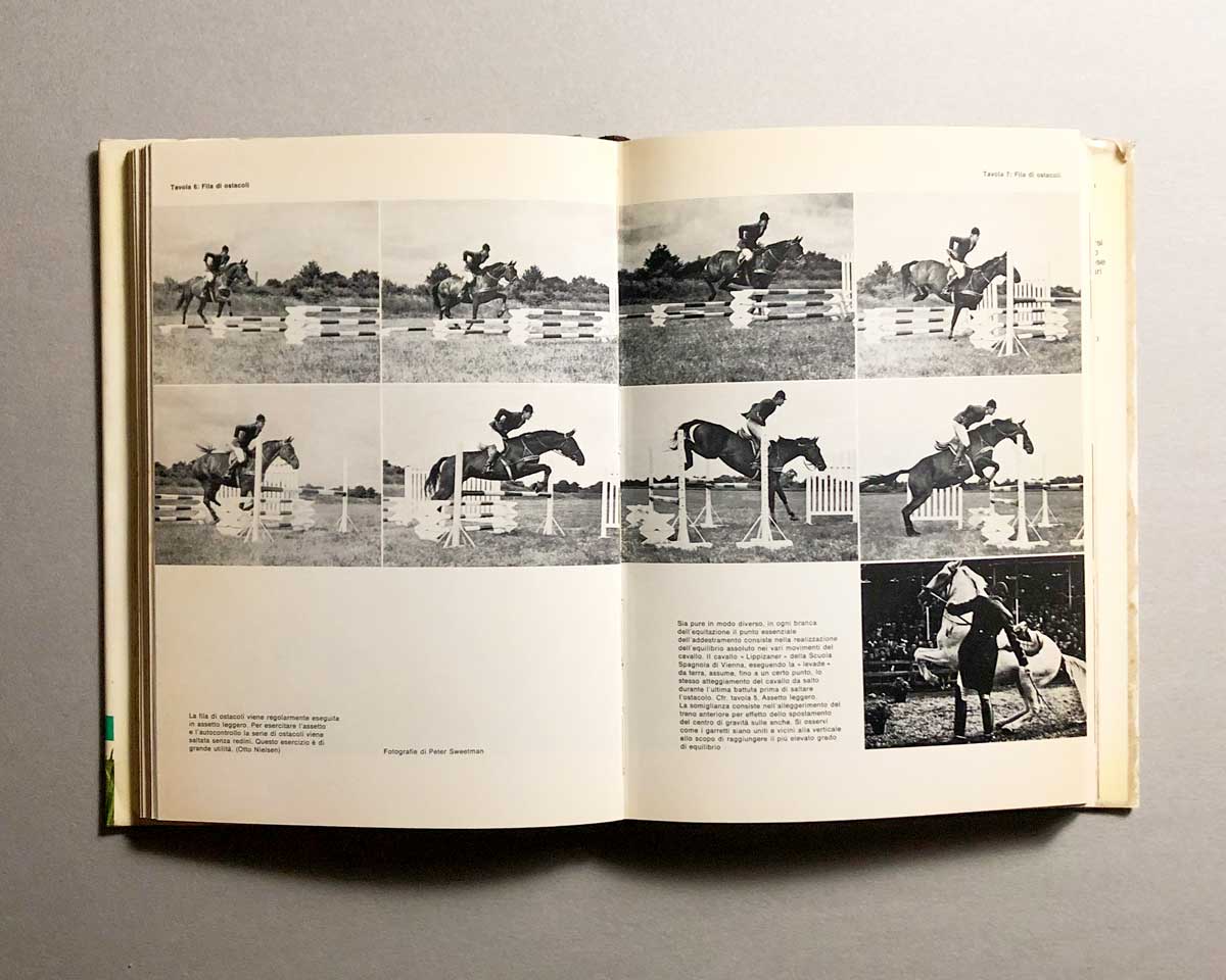 il-libro-della-equitazione-3