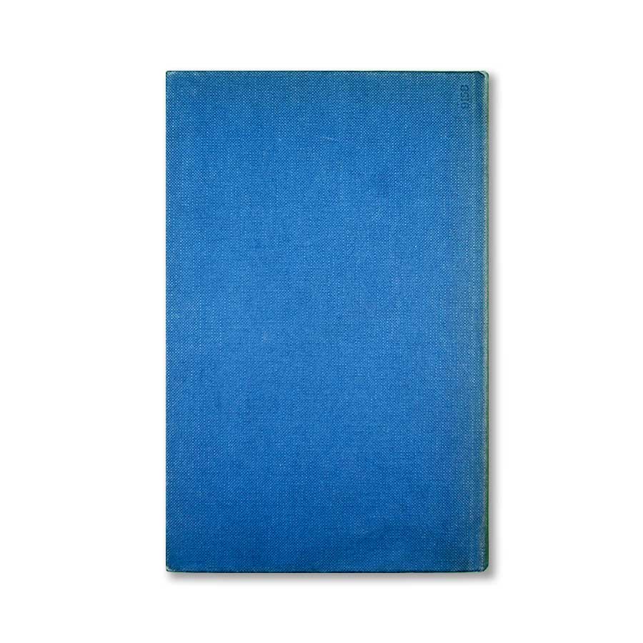 le-rughe-di-fireze-giulio-cattaneo-mondadori-scrittori-italiani-stranieri-2