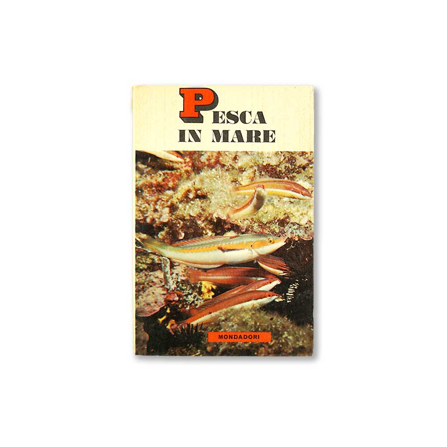 pesca-in-mare-mondadori-1