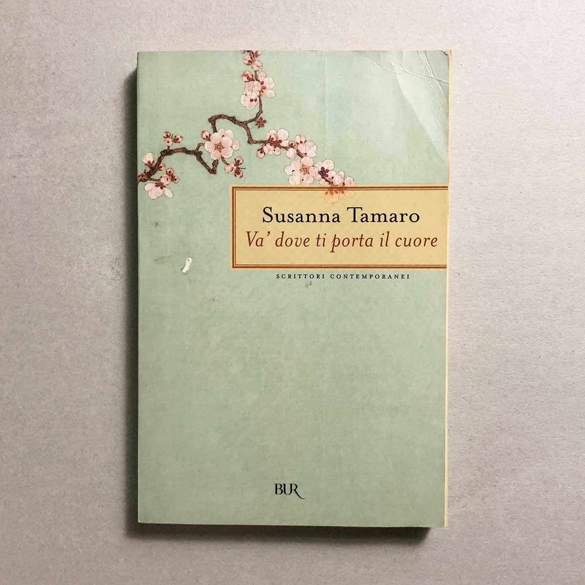 va-dove-ti-porta-il-cuore-susanna-tamaro-1
